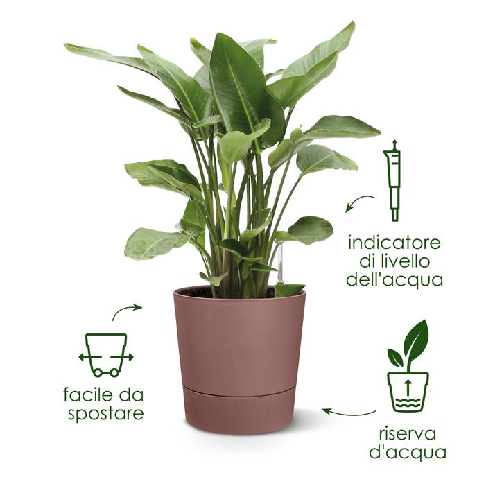 greensense aqua care round 43cm charcoal grey